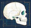 A short introduction to Cranioplasty Surgery