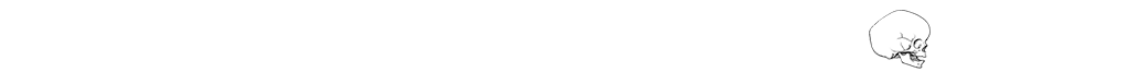 Small line-art illustration of a human skull